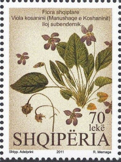 Diving, Swimming, Synchronized Swimming