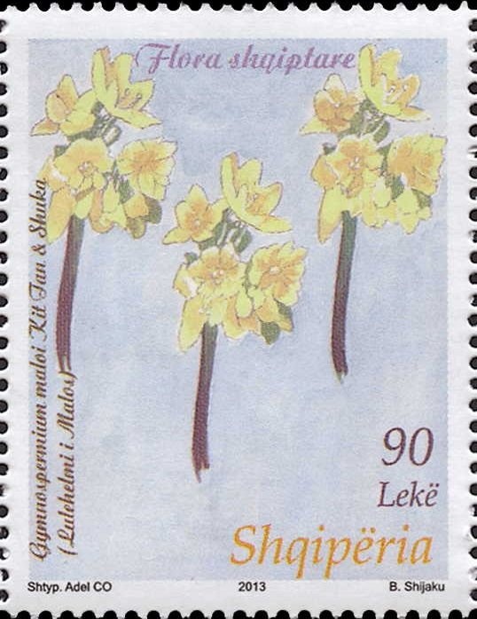 HMS Majestic (battleship) at Anchor, 1901