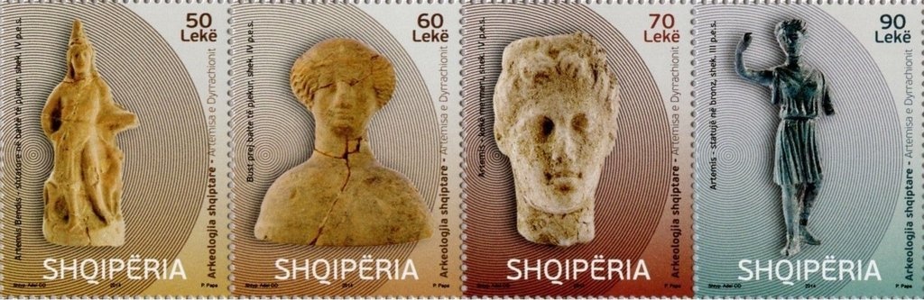 Corn Poppy (Papaver rhoeas)