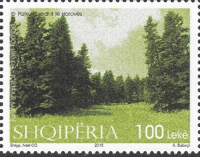 Dhimitër Progoni, Princ of Arbër