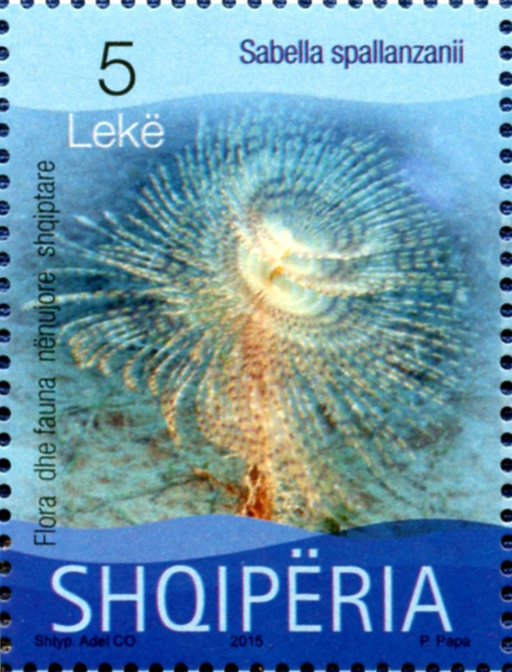 "Courier" (ferry) at Braye Bay