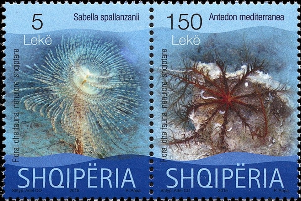 Fortress at Shkodër