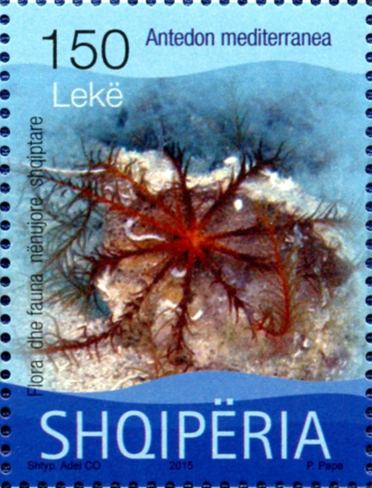 Book, Handwritten Manuscript