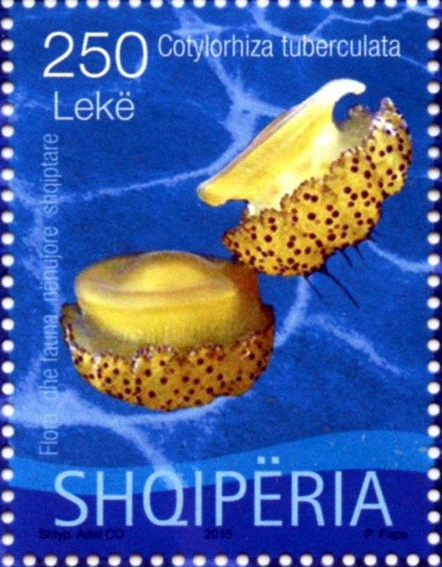 The Black Overprint "ΕΛΛΗΝΙΚΗ ΔΙΟΙΚΗΣΙΣ" (Hellenic Admin.)