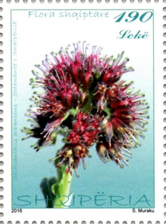 Shyqyri Ishmi, Shyqyri Alimerka, Myzafer Asqeriu