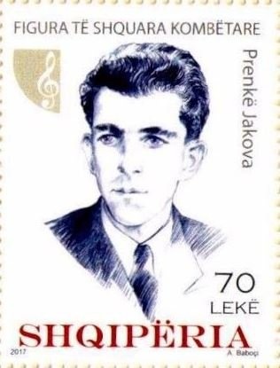 Solitary Bee (Halictus scabiosae)