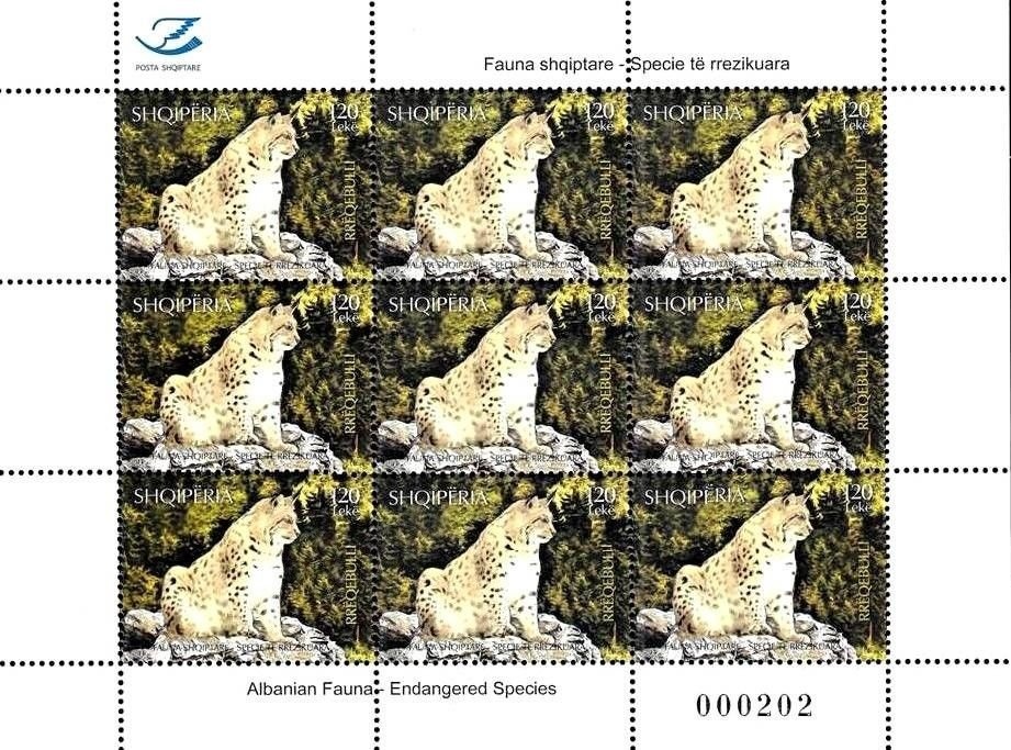 Stylized football player