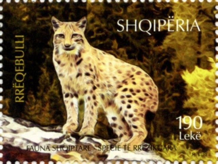 Prince William of Wied