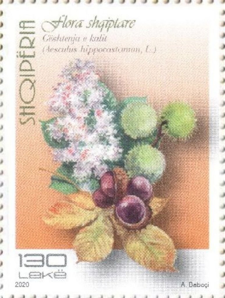 Italy Stamps Overprint Regno d´ Albania"