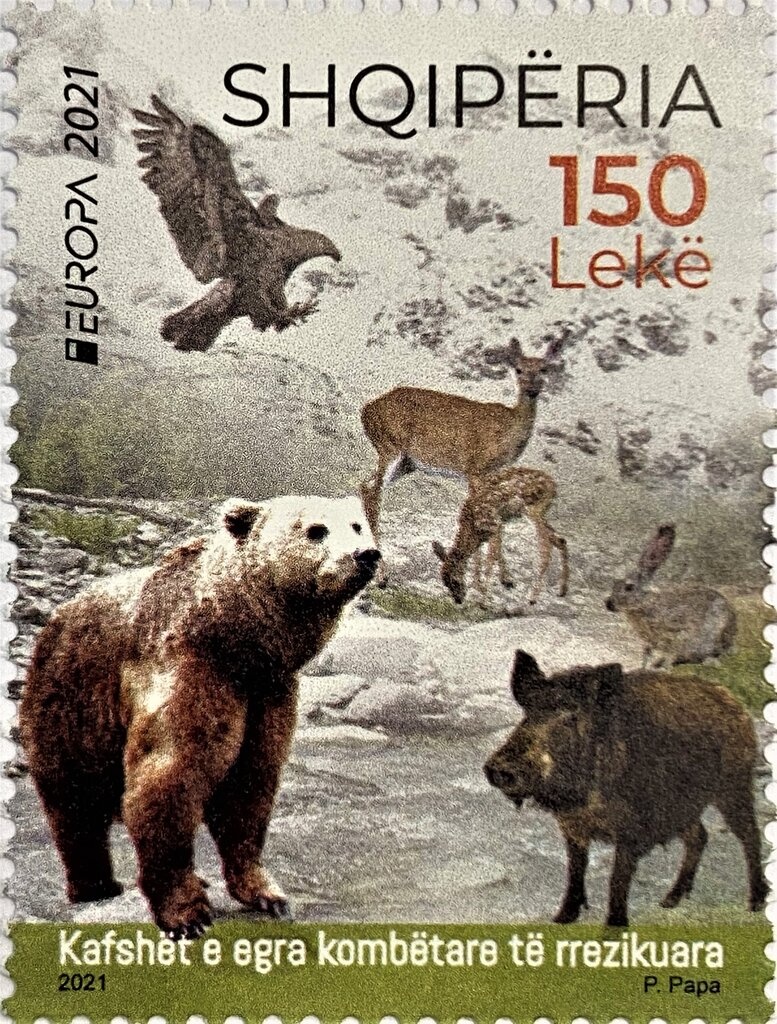 Albanian Fauna: Silkworm (Bombyx mori)