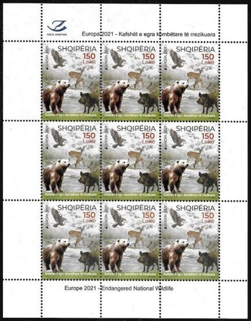 Scenes of The Secret Garden by Frances Hodgson Burnett