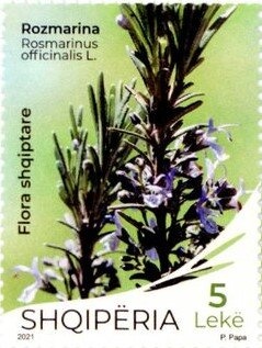 Grand Prix Race Car + label