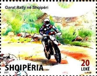 Sanderling (Calidris alba)