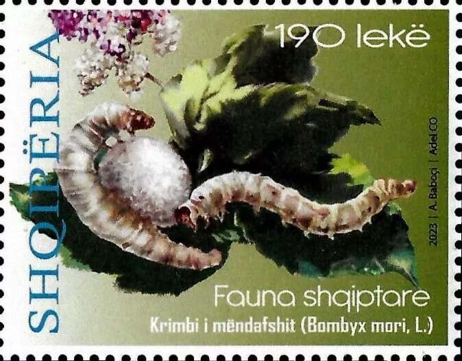 Dragon, by Gazmend Leka