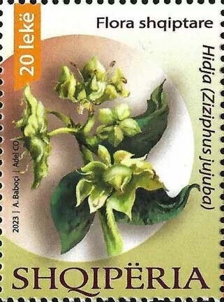 National Cultural Heritage Day