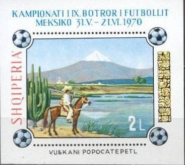 Two-spotted Ladybird (Adalia bipunctata)