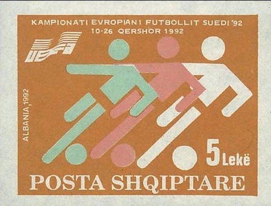 Shelduck (Tadorna tadorna)