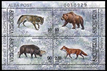 Prince William (1876-1945), ‭appointed ruler of Albania