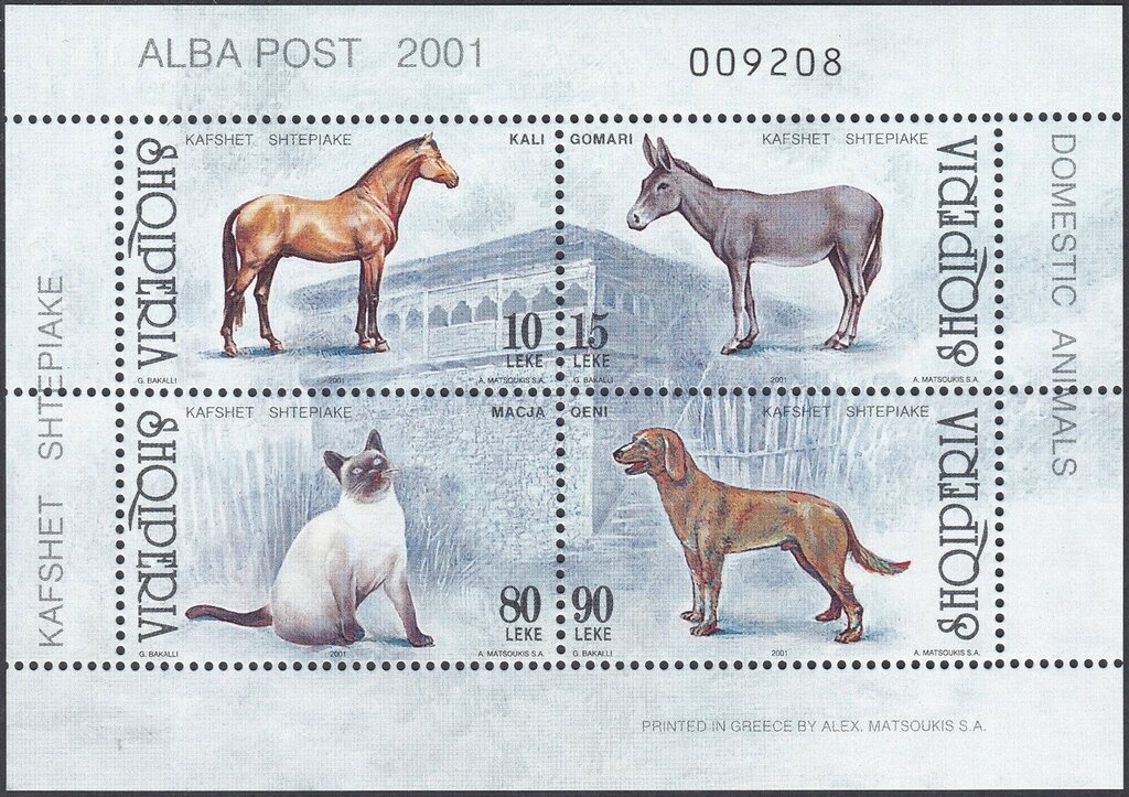 Male VAD Uniform, 1915