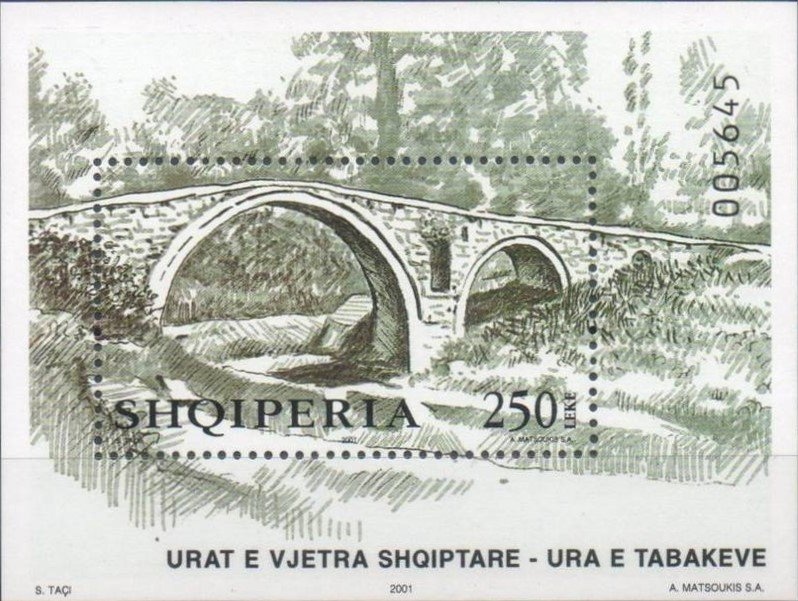 Siamese Cat (Felis silvestris catus)