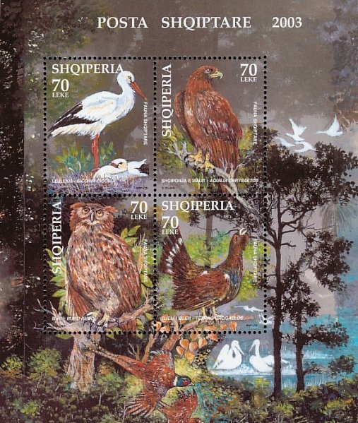 Blonde hedgehogs on Platte Saline