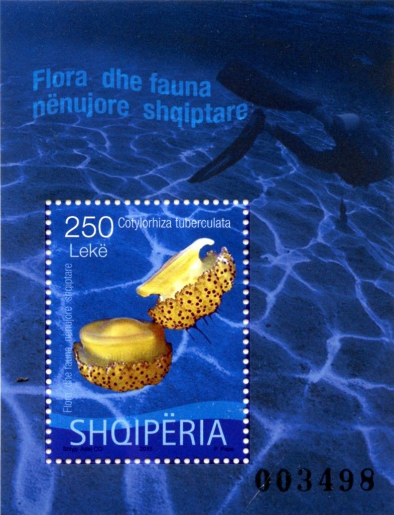 Proclamation of the Albanian State in Vlora