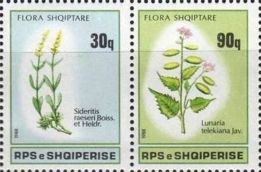 Harry Potter with Kreacher