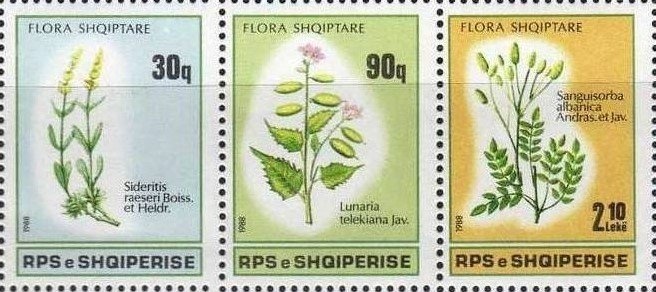 90th anniversary of the Congress of Lushnjë