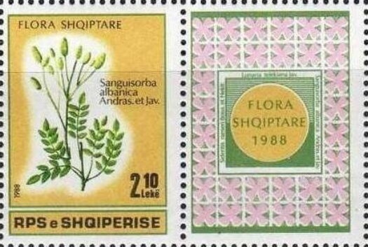 First Birthday of Prince George