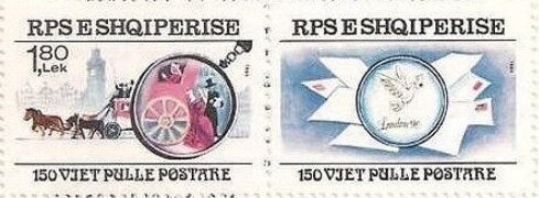 Lesser Black-Backed Gull (Larus fuscus)