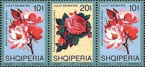 Skanderbeg Issue with Overprint