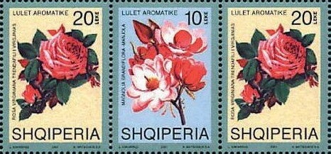 Personalities of the Arbëreshët Community of Italy