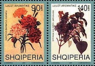 Male VAD Uniform, 1915