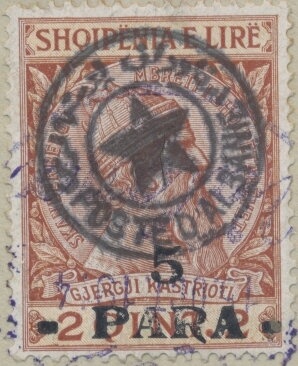 Long-eared Owl (Asio otus)