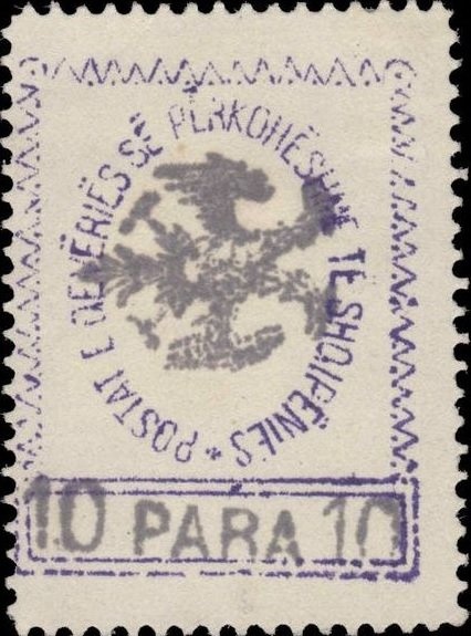 Blue and White Cat on Table (Felis silvestris catus)