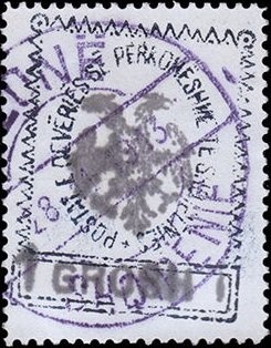 Cat with Butterfly (Felis silvestris catus)