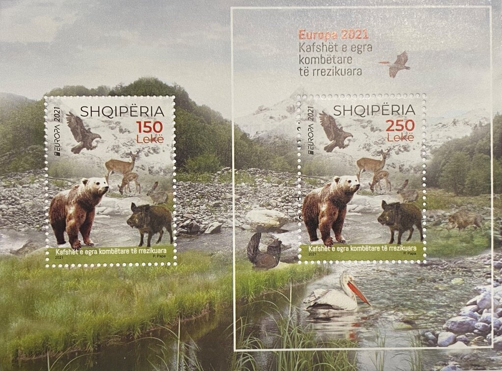 Diving, Swimming, Synchronized Swimming