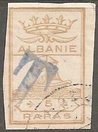 Sparrowhawk (Accipiter nisus)