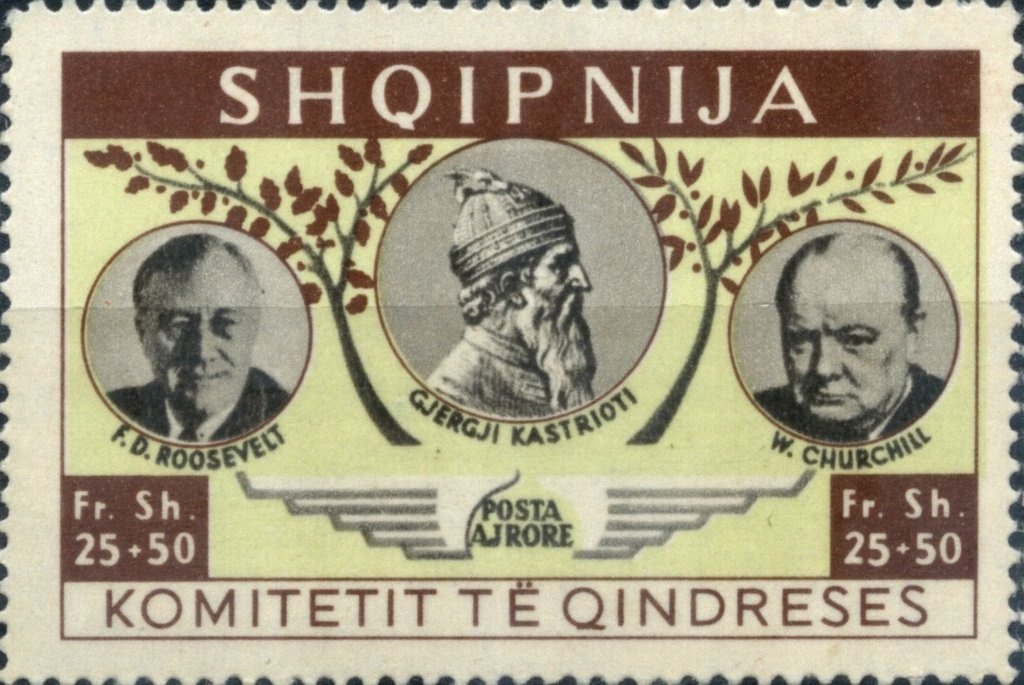 Polyommatus icarus, Anacamptis pyramidalis