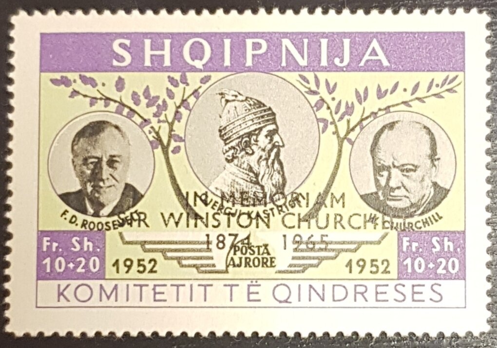 Albanian Wulfenia (Wulfenia baldacci)