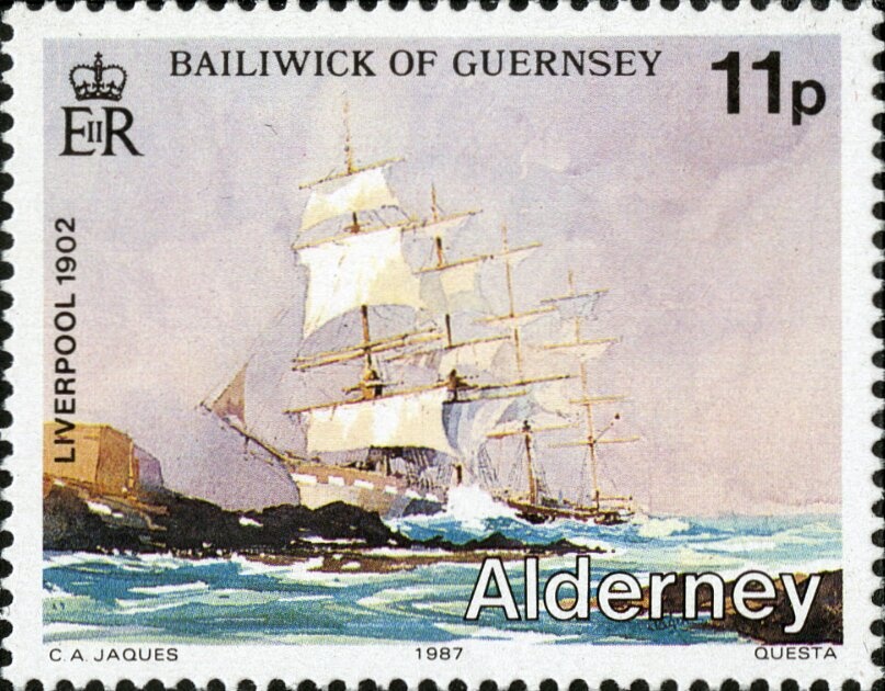 Loggerhead (Caretta caretta)