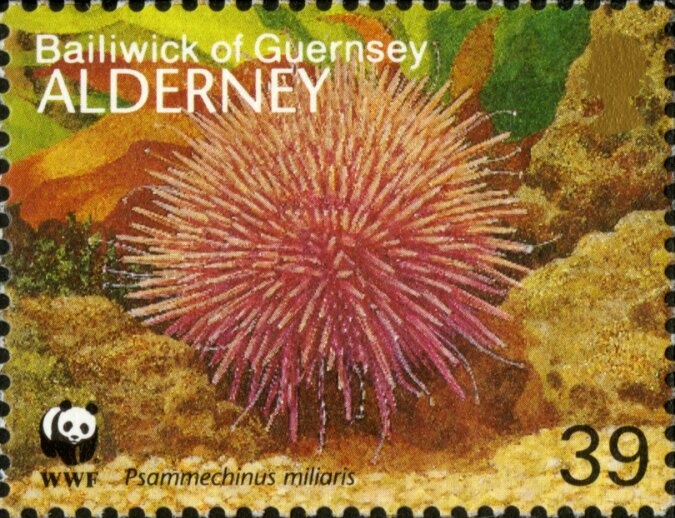 King Zog and Airplane over Tirana, overprinted