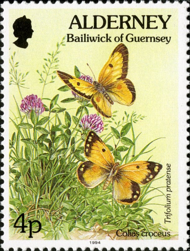 Les Estacs Gannet Colonies