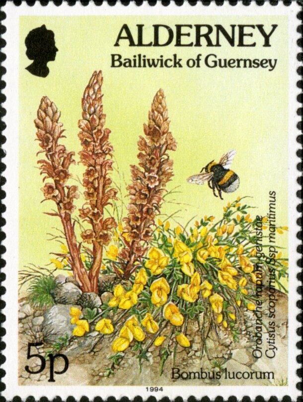 Enrico Tellini (1871-1923), Italian General