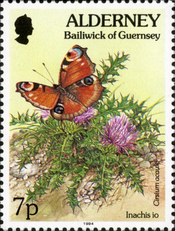 Cuckoo Bee (Nomada goodeniana)