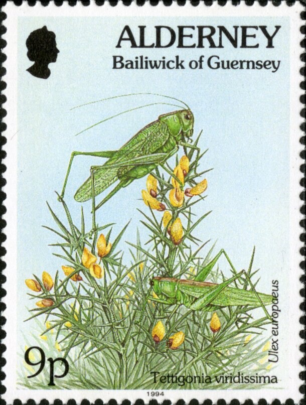 King Zog I of Albania (1895-1924)