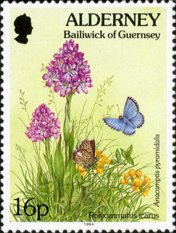 Mozart Plaque, Score