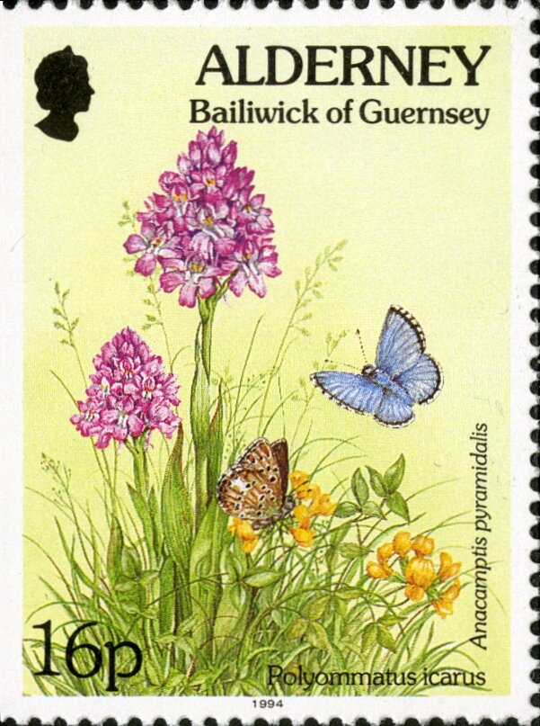 Wellington by Lighthouse