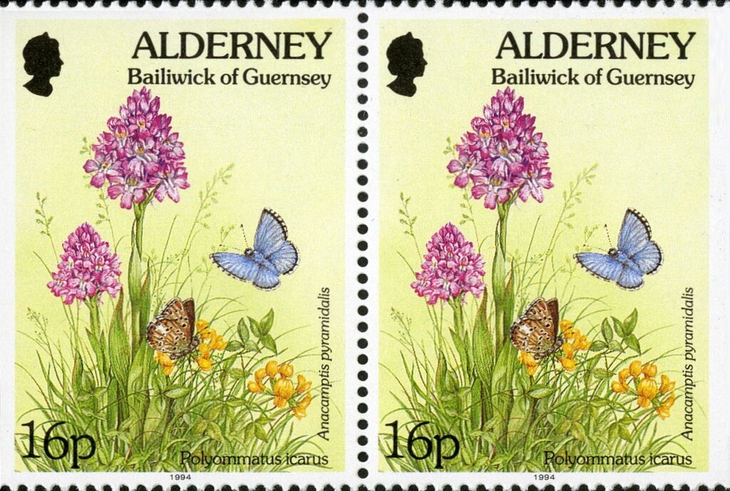 `Abd al-Qadir `Alula, Actor