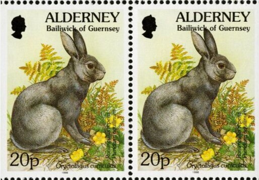 5th Mediterranean Games, Tunis